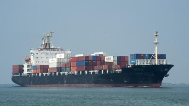 Government intervenes as shipping shocks expose container vulnerability