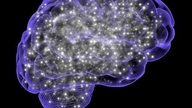  Seizures could be early indicator of brain tumour, caution doctors