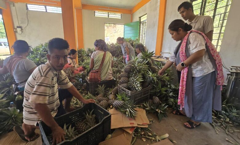 Roadside vendors turned exporters: Meghalaya’s ‘numbered’ farmers reap fruits of labour
