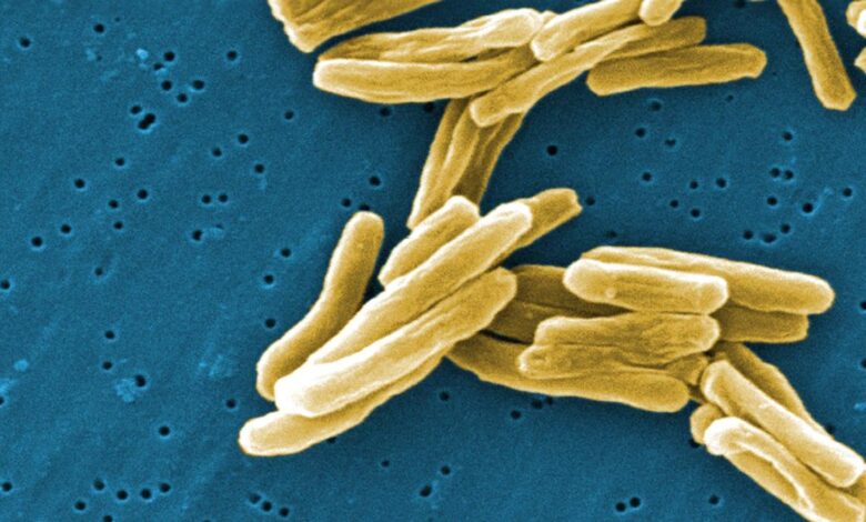 Science Snapshots: June 28, 2026