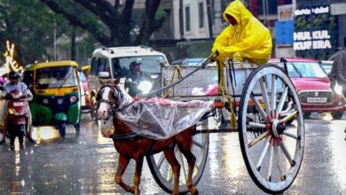 IIT-Delhi study finds human activity drives India’s ‘wild’ weather