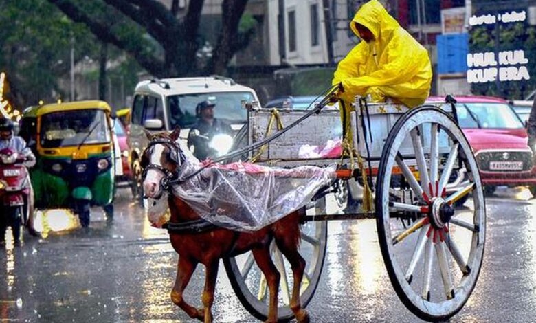 IIT-Delhi study finds human activity drives India’s ‘wild’ weather