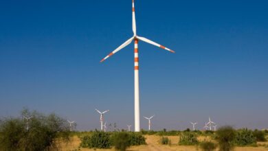 Watch: How India uses wind energy — and what it is struggling with | The Scope