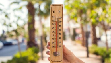 The physics of thermometers, temperatures and cold atoms