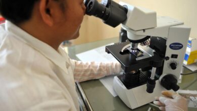RGCB scientists uncover new mechanism behind malaria parasite’s drug resistance