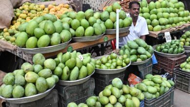 Inside Chennai’s summer pickling season: From Vadu Manga to Avakkai