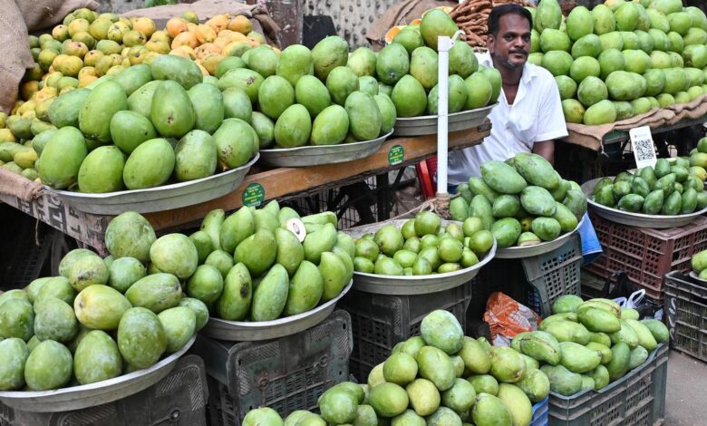 Inside Chennai’s summer pickling season: From Vadu Manga to Avakkai