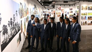 Lives Among The Palms: Students from the palmyrah belt turn the lens on life, landscape and labour