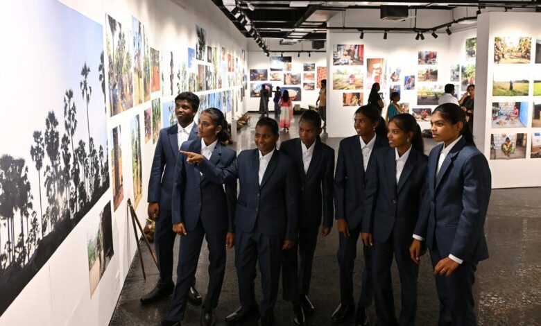 Lives Among The Palms: Students from the palmyrah belt turn the lens on life, landscape and labour